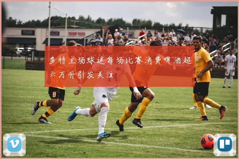 多特主场球迷每场比赛消费啤酒超六万升引发关注