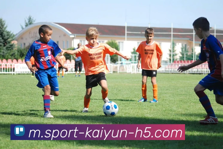 数据防护可视化